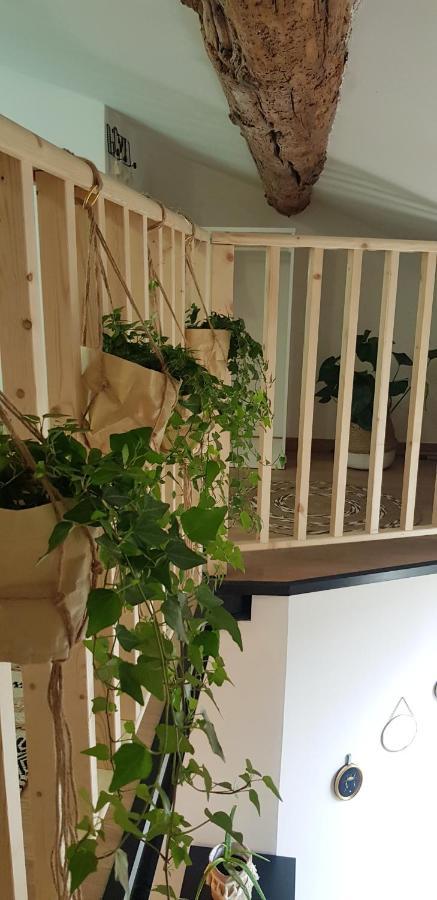 Studio Mediterraneenne Montpellier Eksteriør billede